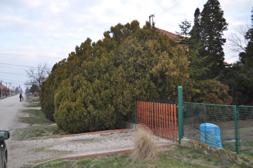 Fotogaléria Znovuobjavenie sochy sv. Jána Nepomuckého v našej obci - 5.2.2014 (28) Znovuobjavenie sochy sv. Jána Nepomuckého v našej obci - 5.2.2014